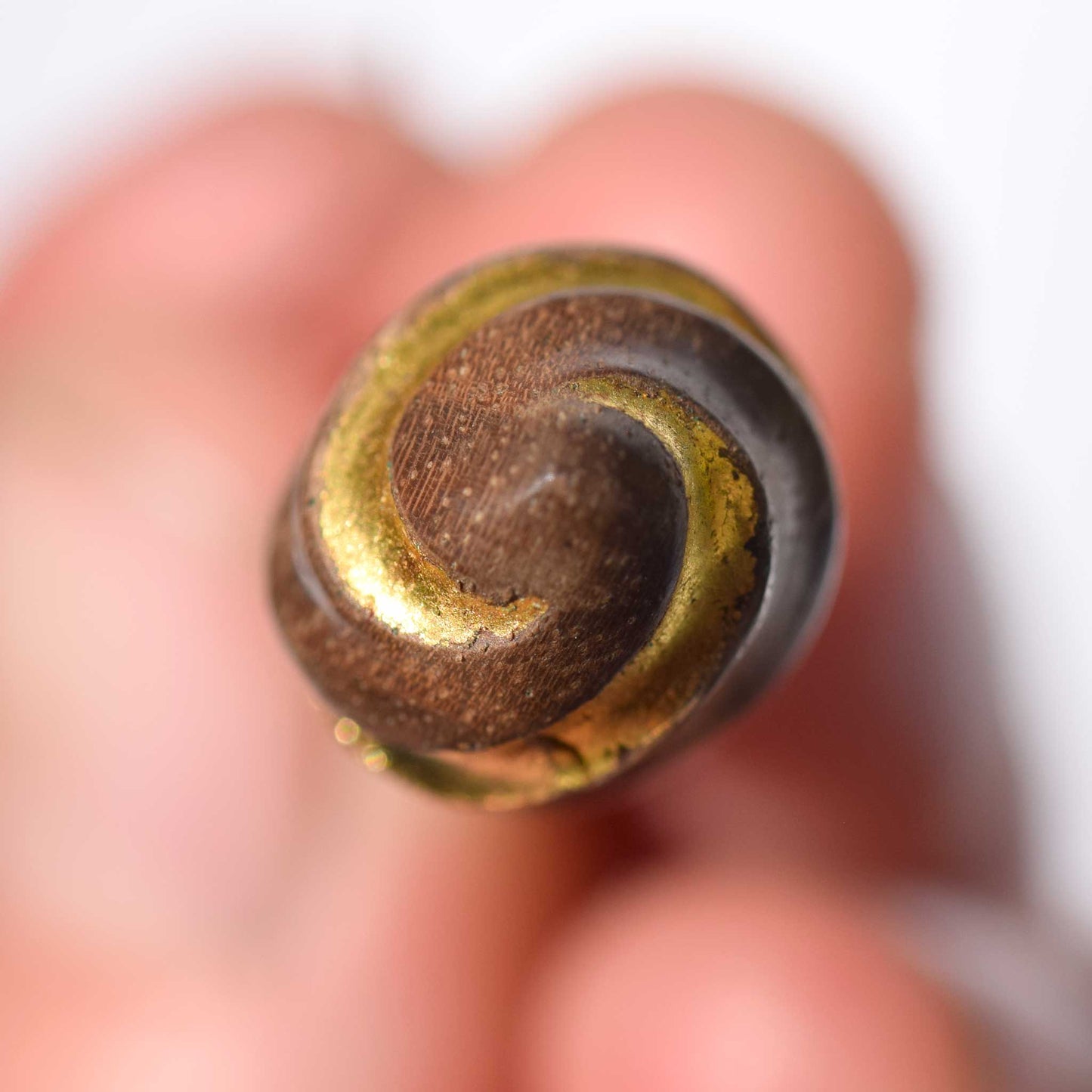 Spiral walnut earrings