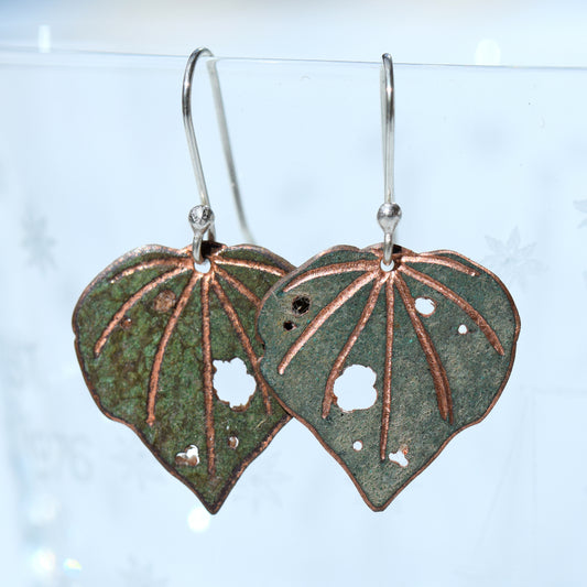 Kawakawa leaf earrings in silver or copper (20mm wide)